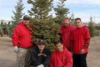 Big M Services - Photo 3 - Car repair in , Boulder