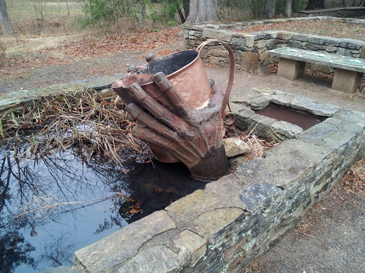 Botanical Garden «Botanical Gardens At Asheville», reviews and photos, 151 W .T. Weaver Blvd, Asheville, NC 28804, USA