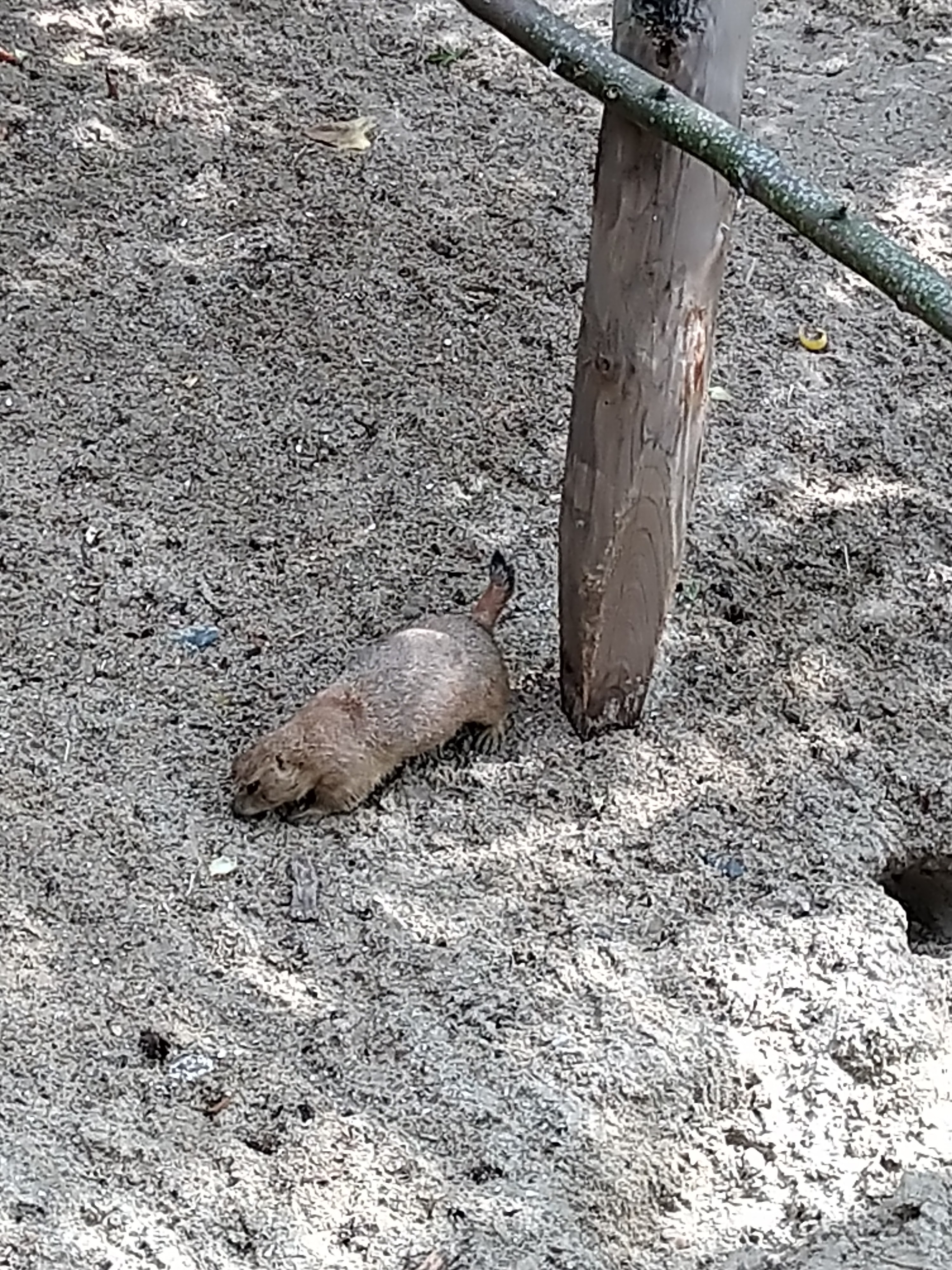 Photo n° 9 de l'avis de HardLoSeDa. fait le 15/08/2019 à 14:36