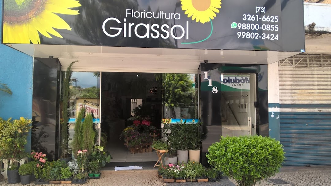 Floricultura Girassol