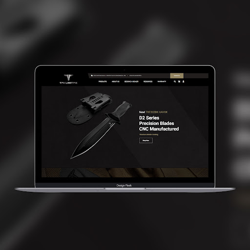 Design Fleek Web Design Agency image