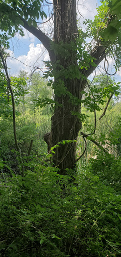 Public Golf Course «Mohansic Golf Course», reviews and photos, 1500 Baldwin Rd, Yorktown Heights, NY 10598, USA