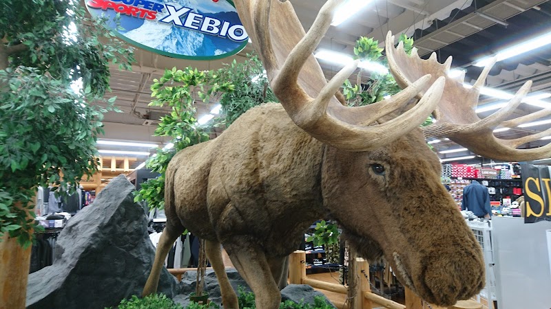 スーパースポーツゼビオ 青森中央店 青森県青森市東大野 スポーツ用品店 グルコミ