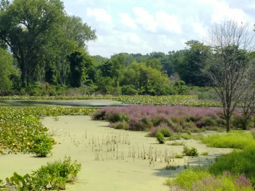 Golf Course «Riviera Community Club», reviews and photos, 11019 Country Club Dr, Anderson Island, WA 98303, USA