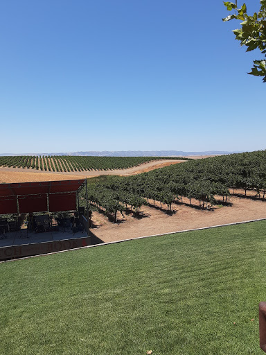 Winery «Matchbook Wine Company», reviews and photos, 12300 County Rd 92B, Zamora, CA 95698, USA