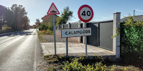 Calamocos 24398, León, España