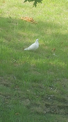 Park «Kennedy Park», reviews and photos, S Main St, Fall River, MA 02724, USA