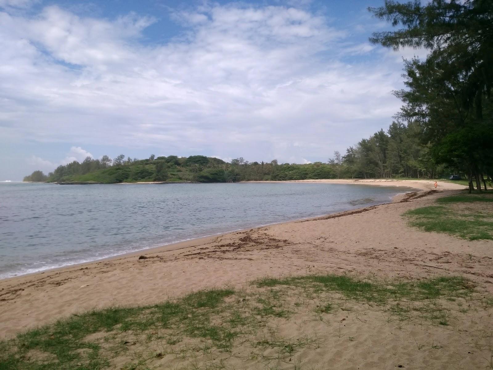 Foto di Baie du Jacotet zona selvaggia