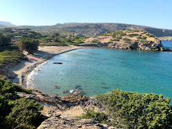Itanos Plajı'in fotoğrafı vahşi alan