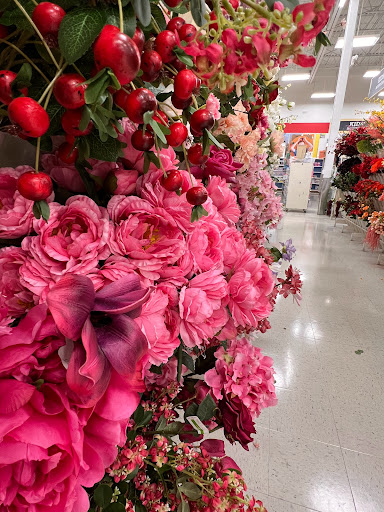 Craft Store «Michaels», reviews and photos, 7131 Coastal Blvd, Brooksville, FL 34613, USA