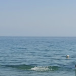 Photo n°2 de l'avis de Margherita.r fait le 25/06/2023 à 08:27 sur le  iGV Club Le Castella à Capo Rizzuto