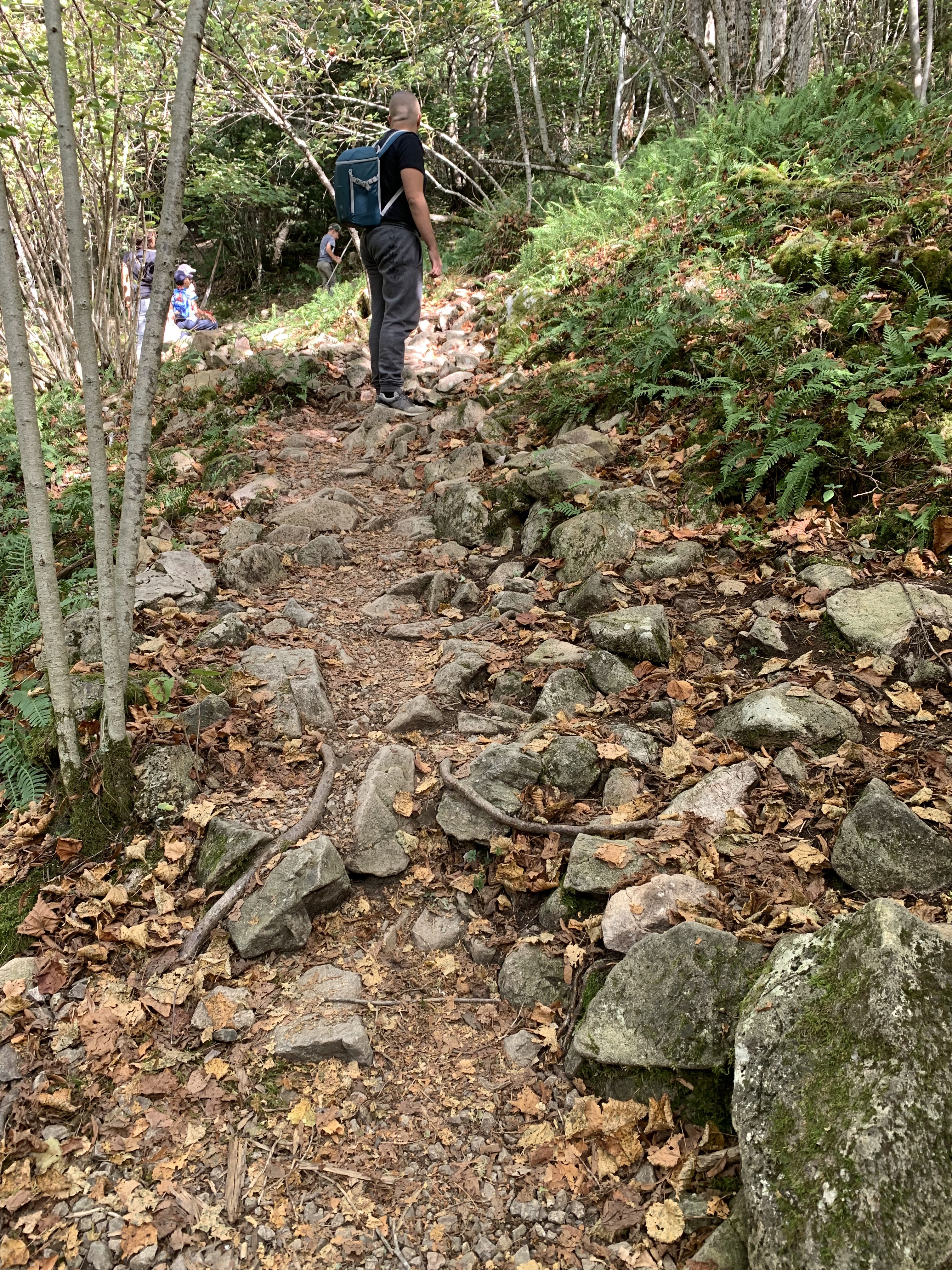 Photo n° 13 de l'avis de Jean-Louis.o fait le 08/10/2023 à 16:00