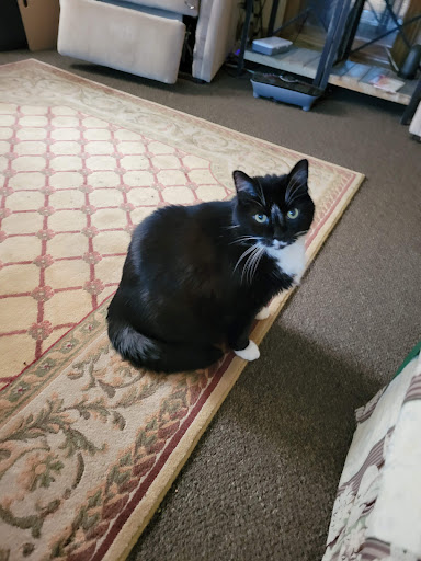 Pet Supply Store «PetSmart», reviews and photos, 14290 Plymouth Ave, Burnsville, MN 55337, USA