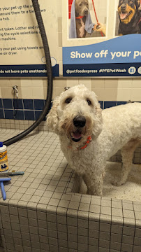 Pet Food Express - Photo 5 - Car repair in Livermore, CA, Fremont