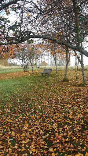 Tourist Attraction «A Sound Garden», reviews and photos, 7600 Sand Point Way NE, Seattle, WA 98115, USA