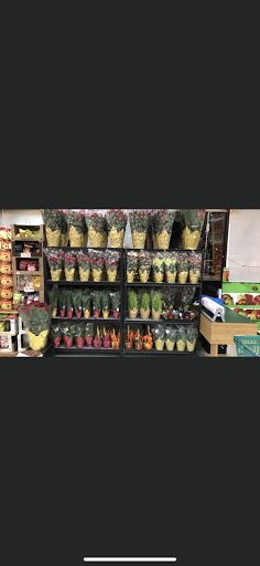 Produce Market «Garden Farms», reviews and photos, 3105 U.S. 9, Old Bridge, NJ 08857, USA