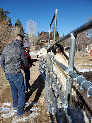 Pine Knot Guest Ranch image