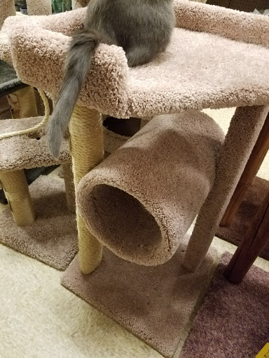 Pet Supply Store «PetSmart», reviews and photos, 4810 1st Ave NE, Cedar Rapids, IA 52402, USA