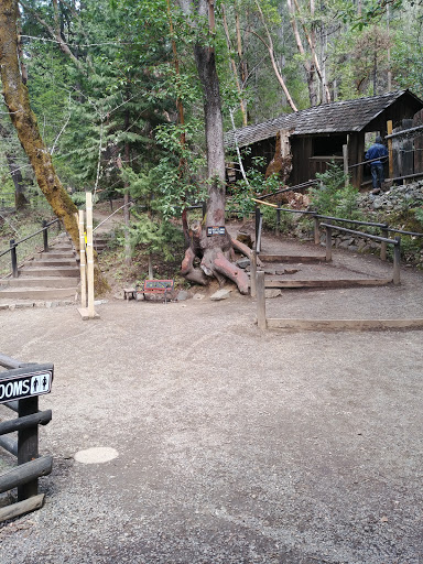 Tourist Attraction «Oregon Vortex», reviews and photos, 4303 Sardine Creek L Fork Rd, Gold Hill, OR 97525, USA