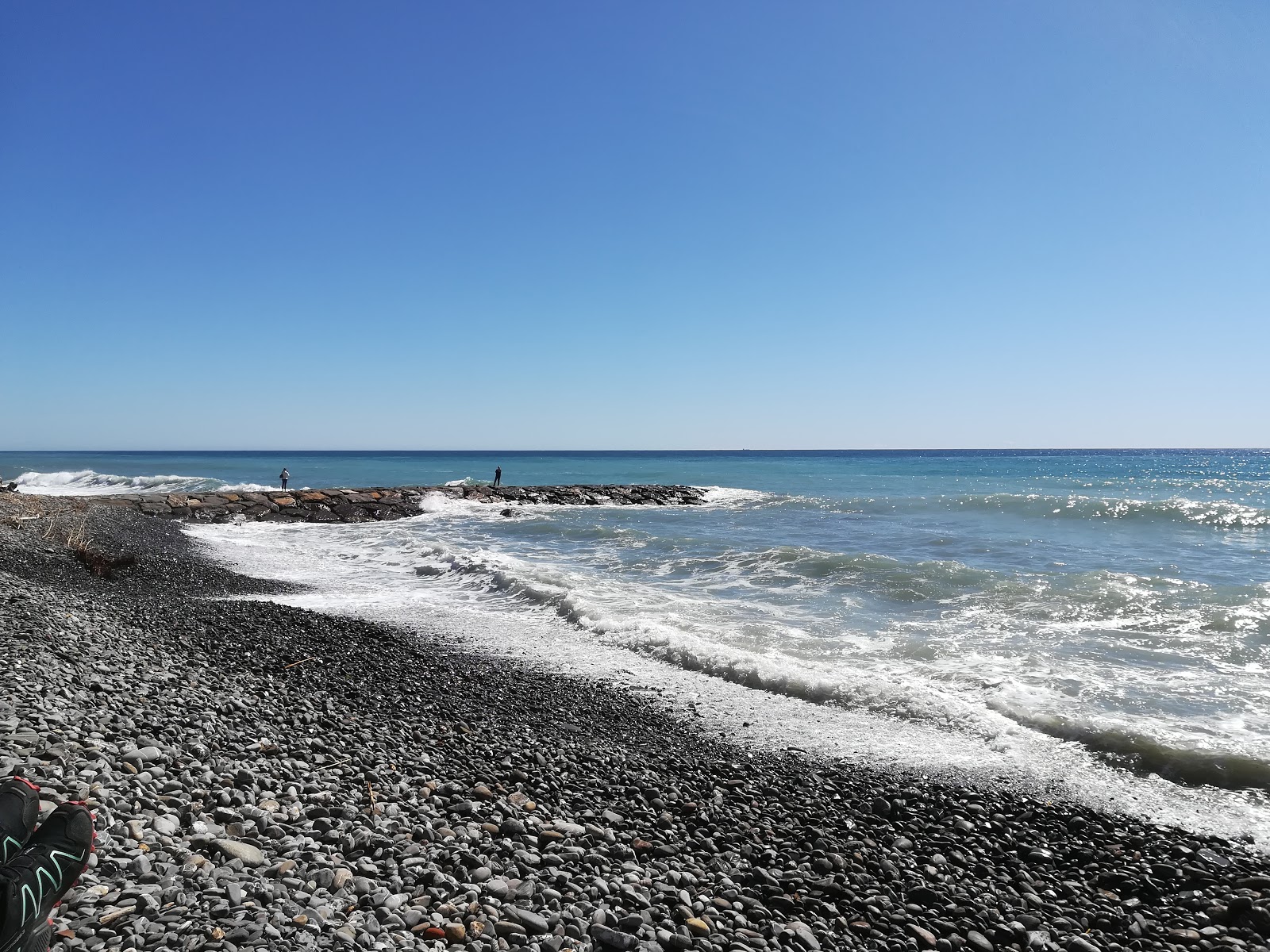 Foto van Arene dog beach gelegen in een natuurlijk gebied