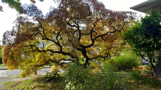 Park «Creston Park», reviews and photos, SE 44th Ave & Powell Blvd, Portland, OR 97206, USA