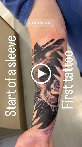 Explore dolphin tattoo ideas for females, creative tattoo ideas in Modesto, available at Ink Disciples Tattoo Parlor