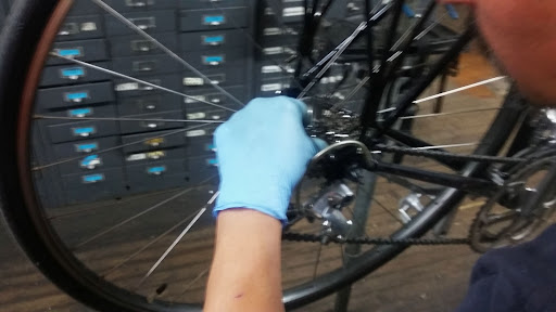 Bicycle Store «Roberts Cycle Shop Chicago», reviews and photos, 7054 N Clark St, Chicago, IL 60626, USA