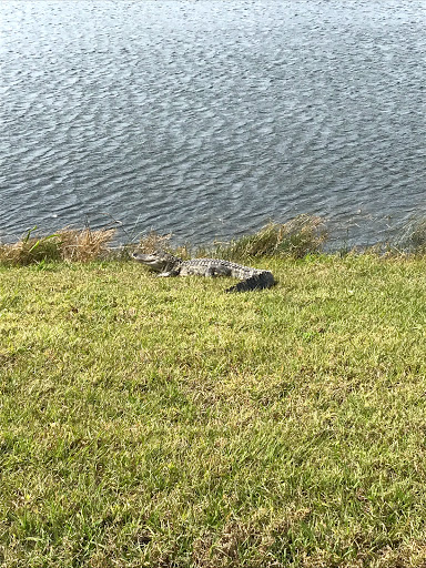 Campground «Seven Springs Travel Park», reviews and photos, 8039 Old Co Rd 54, New Port Richey, FL 34653, USA