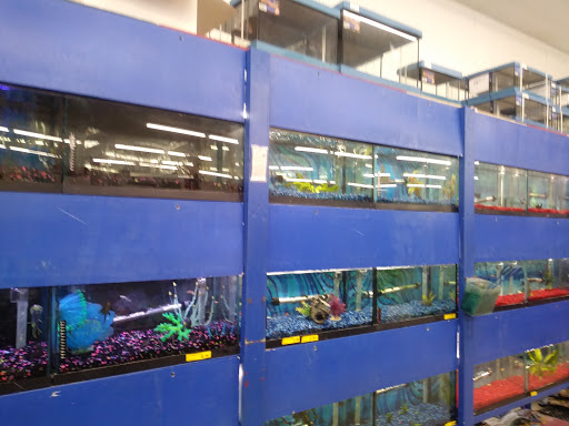 Pet Supply Store «Blackwinds Pet Supplies», reviews and photos, 2494 Military Rd, Niagara Falls, NY 14304, USA
