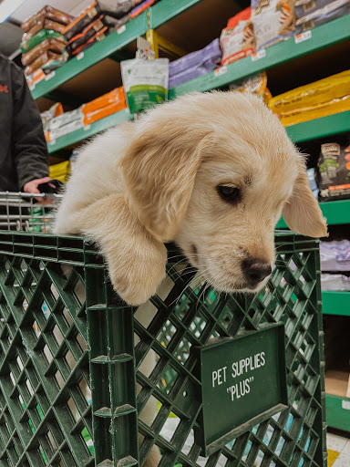 Pet Supply Store «Pet Supplies Plus», reviews and photos, 1377 N 21st St, Newark, OH 43055, USA