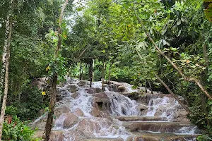 Dunns River Falls and Beach image