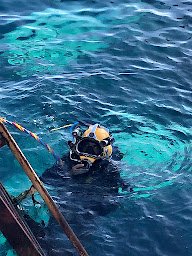 Photo n°12 de Eurêka Plongée à Le Cap d'Agde ()