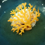 Photo n° 3 de l'avis de Jean.o fait le 14/02/2020 à 22:58 pour Le Fanal à Banyuls-sur-Mer