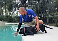 Pool Troopers - Photo 6 - Car repair in , Frisco