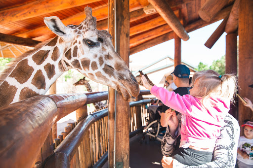 Tourist Information Center «Pikes Peak Country Attractions», reviews and photos, 337 Manitou Ave, Manitou Springs, CO 80829, USA