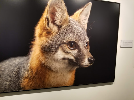 Museum «The Annenberg Space for Photography», reviews and photos, 2000 Avenue of the Stars #10, Los Angeles, CA 90067, USA