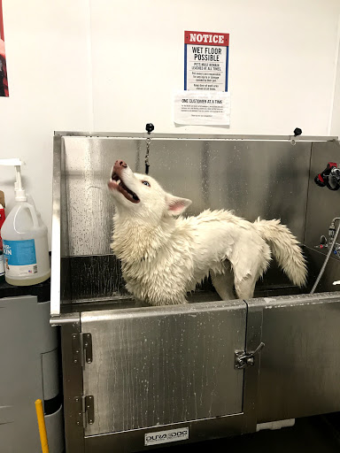 Home Improvement Store «Tractor Supply Co.», reviews and photos, 4601 E Grand River Ave, Howell, MI 48843, USA