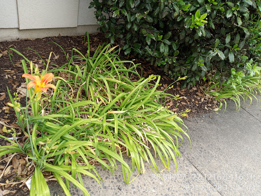 Shoe Store «DSW Designer Shoe Warehouse», reviews and photos, 5518 Leesburg Pike, Falls Church, VA 22041, USA