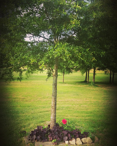 Variety Store «ROSES», reviews and photos, 1421 E Cone Blvd, Greensboro, NC 27405, USA