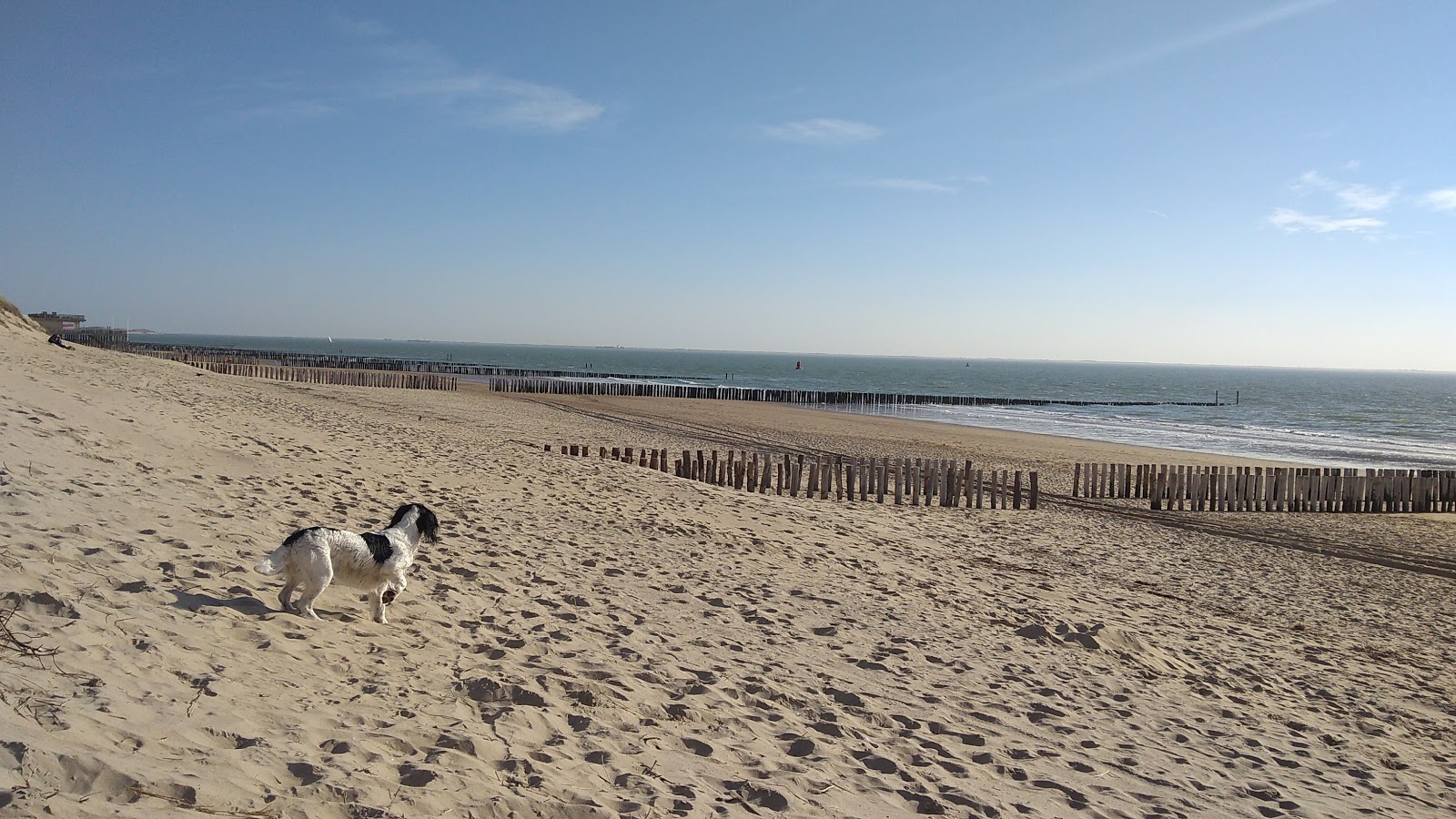 Joossesweg beach'in fotoğrafı uzun koy ile birlikte