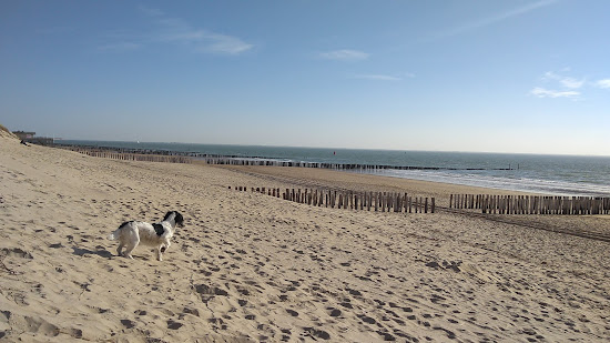 Joossesweg beach