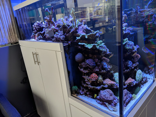 Tropical Fish Store «Aquarium Artisans», reviews and photos, 8005 Plainfield Rd #11, Cincinnati, OH 45236, USA