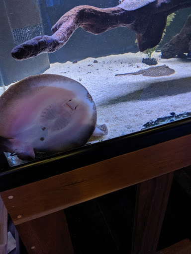Aquarium «Aquatica», reviews and photos, 800 Clanton Rd H, Charlotte, NC 28117, USA