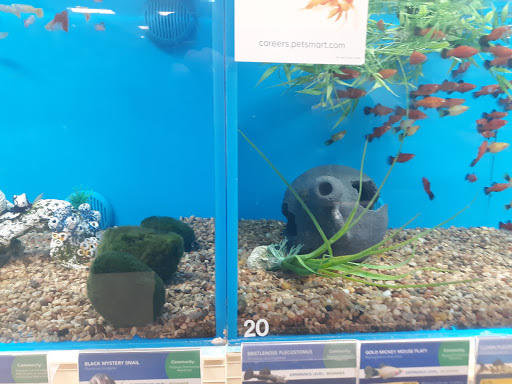 Pet Supply Store «PetSmart», reviews and photos, 2 Brick Plaza, Brick, NJ 08723, USA