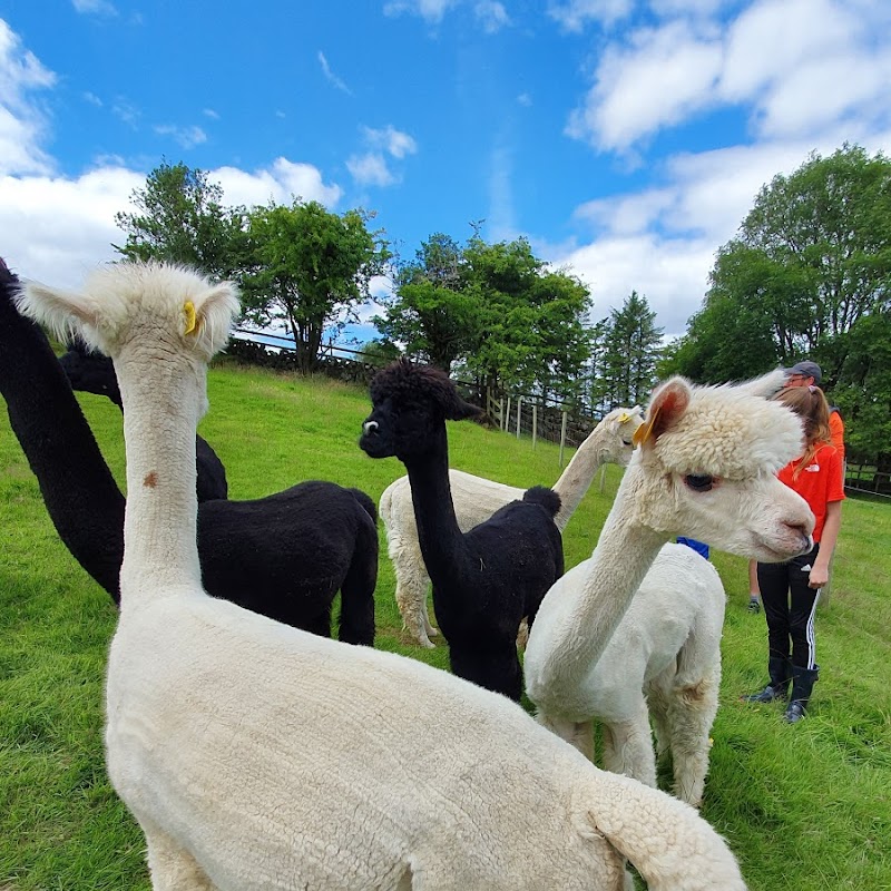 Curraghduff Farm