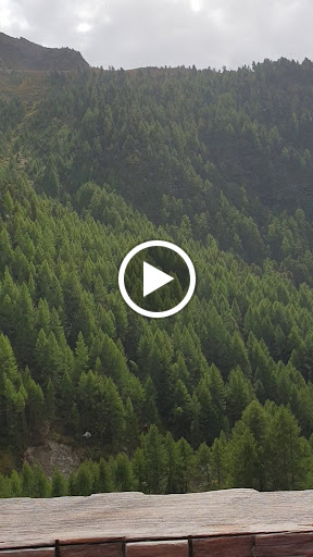site_photo4