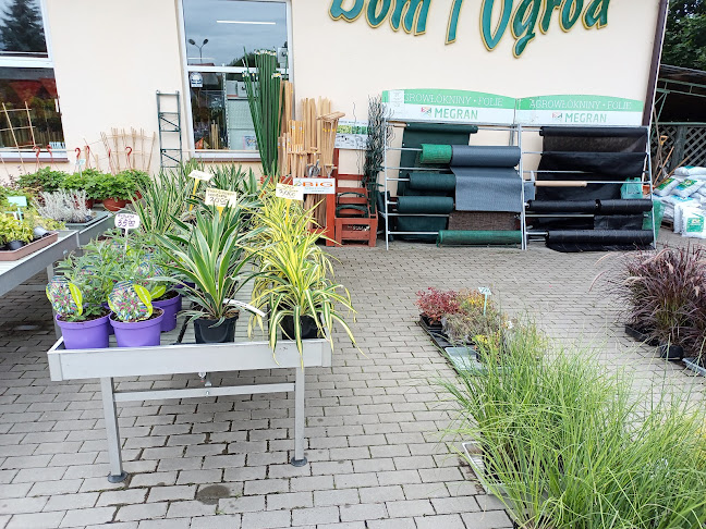 Wałbrzyska 8, 58-400 Kamienna Góra