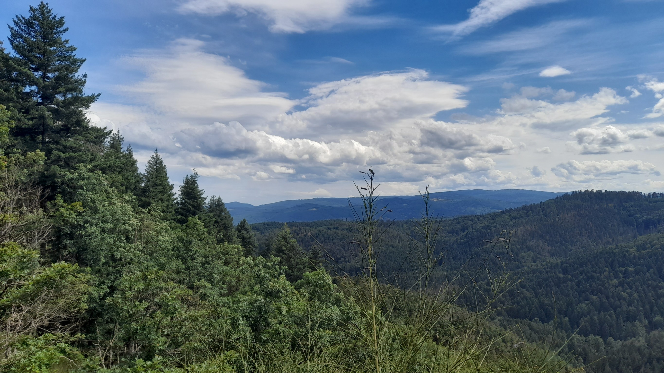 Photo n° 27 de l'avis de Kris.c fait le 20/07/2022 à 13:28