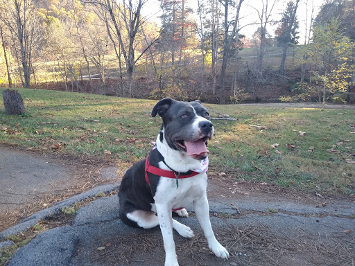 Golf Course «Steele Creek Park Golf Course», reviews and photos, 20 Little Ln, Bristol, TN 37620, USA