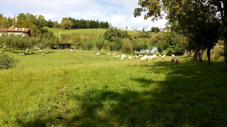 Photos des visiteurs hôtels Caserio Hotel 20120 Hernani